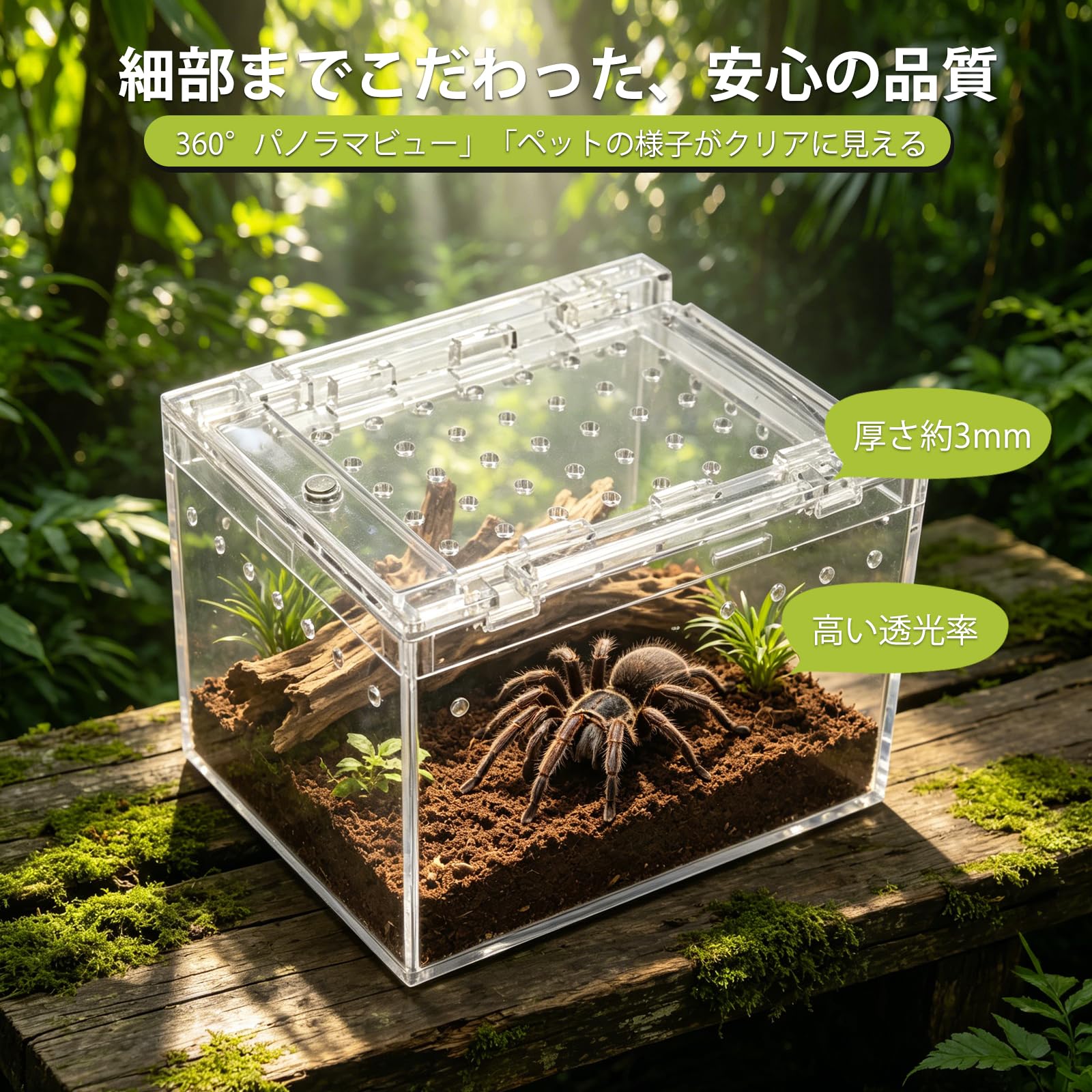 Amazon | 10×8×7cm 爬虫類 ケージ 両生類飼育ケース 昆虫ケージ 通気性
